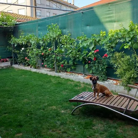 Albergue De Peregrinos Ultreia Et Suseia * Sigueiro